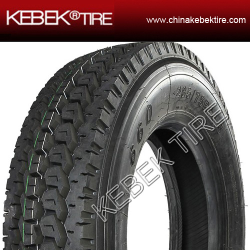 Chinese Hot Sale Radial Truck Tyre with Lower Prices