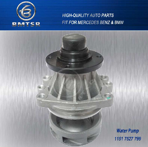 11517527799 Water Pump for BMW E34 E36 E39 E46 E53 E60