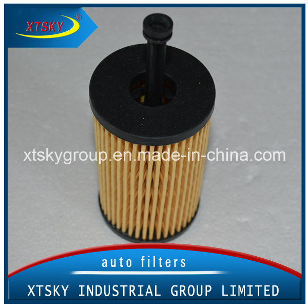 Hot Sale China Supplier Auto Parts Mann Oil Filter (HU612X)