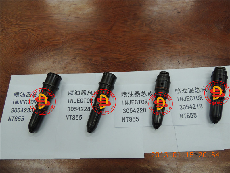 Nt855 Spare Parts, Injector Assy