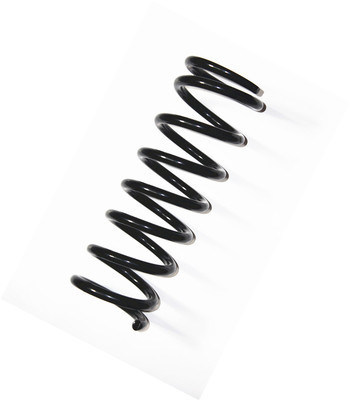 Black Color Coiled Springs Black Oxide Finish Springs Compression Spring