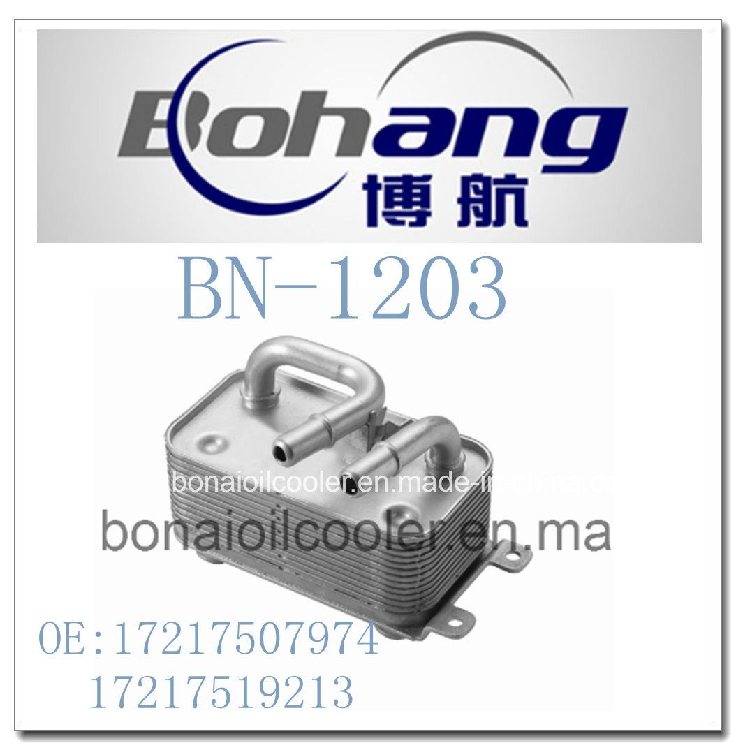 Bonai Auto Spare Parts for BMW E60 E61 E63 E64 E65 E66 Oil Cooler (17217507974/17217519213)