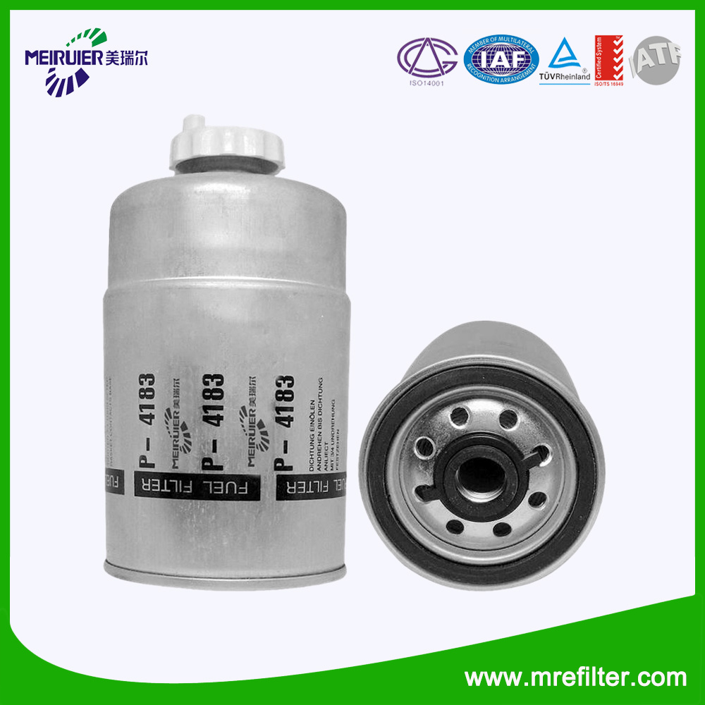 Auto Parts Truck Fuel Filter for Renault P4183