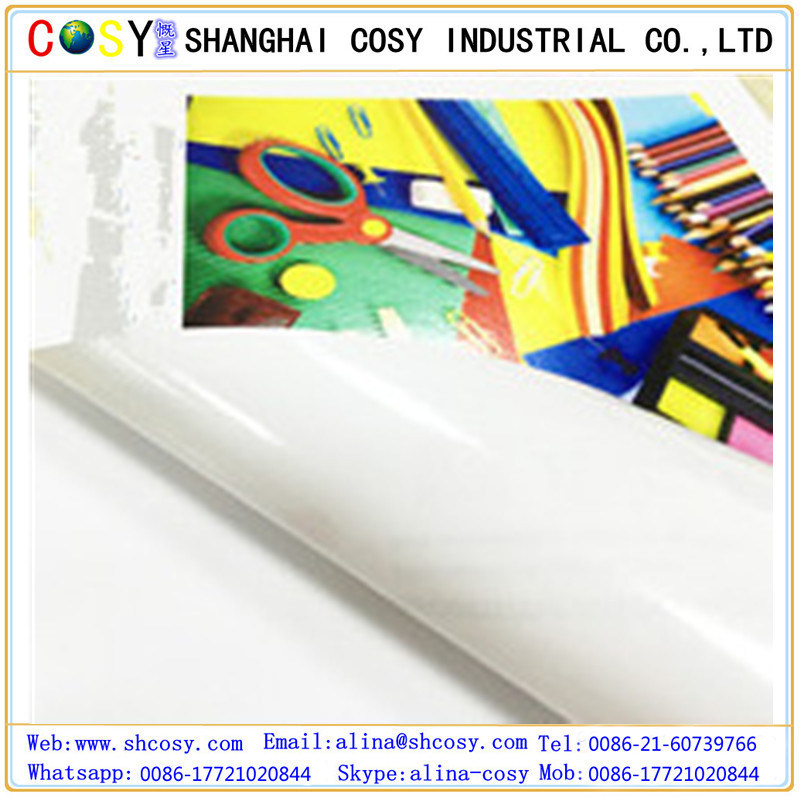 100mic/140g Glossy PVC Self Adhesive Vinyl for Car Sticker