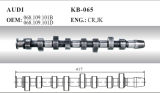 Auto Camshaft for Audi (068.109.101B)