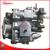 Cummins Fuel Pump (4951495) for Ccec Engine (Nt855 K19 M11 K38)