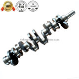 Crankshaft for Isuzu Engine 6he1, 6hh1, 6he1t, 6HK1