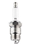 Spark Plug for Motorcycle Match for Denso Vnh24z, Vuh24D, Iu24