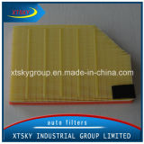 Hot Sale China Supplier Auto Parts Air Filter (C35177/30748212)