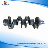 Engine Parts Forged Steel Crankshaft for Iveco 1.7-2.3 2.5D/2.5L/2.8L/3.0L/8140-23, 2.5L