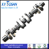 6D16 Cast Crankshaft for Mitsubishi 6D16t Me072197 OEM 23100-93072 Engine Shaft