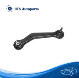Auto Control Arm for BMW X5 Suspension Parts Rk620626