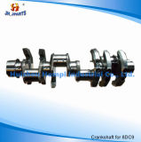 Truck Parts Crankshaft for Mitsubishi 8DC90/8DC91/8DC92 8DC20A/8DC80/8DC81/8DC82