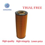 China Manufacturer Supply High Quality Oil Filter A1621843025 for Ssangyong Car Lubrication System Car Filter Element A1621843025