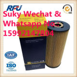 High Quality Atuo Parts Oil Filter for Hengst E197h D23