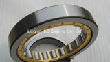 Cylindrical Roller Bearing N415, Nu415, Nup415, Nj415, Nu2215, Nup2215, Nj2215, Nu2315, Nup2315, Nj2315