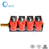 Auto Fule CNG/LPG Common Rail/Injector Rail 2cyls, 3cyls, 4cyls, 6cyls