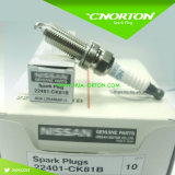 Ngk Spark Plugs for Nissan OEM 22401-Ck81b Plzkar6a-11