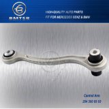 W204 W212 Car Rear Control Arm for Mercedes Benz and BMW China Famous Brand Wholesaler