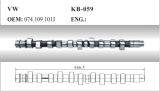 Auto Camshaft for VW (074.109.101J)