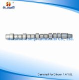 Auto Spare Parts Camshaft for Citroen Tu5jp Tu3 C00000801r5