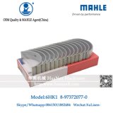 Mahle Brand 6HK1 Main Bearing for Zx330 Zx360 Zx330-3