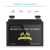 LiFePO4 Starter Battery
