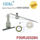 Erikc F00rj03284 Common Rail Injector Overhaul Kits Dsla136p804 Nozzle F 00r J03 284 for 0445120002 0986435501 Renault Iveco
