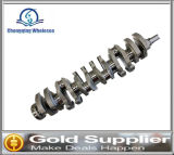 Engine Parts Crankshaft for Isuzu 6rb1 1-12310-503-2
