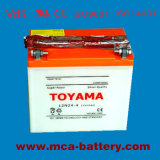 Super Start Batteries Car Batteries Automotive Starting Battery 36ah