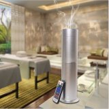 Remote Control Scent Machine &Aroma Diffuser with Ce and SGS Hz-1202