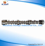 Auto Parts Camshaft for GM Buick Firstland Gl8 Cruz/Sail1.4/Excelle1.6/Regal2.0 2.5/Lacrosse2.4