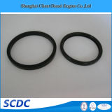 High Quality Liner Seal for Cummins Engine