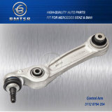 Professional Manufacturer Auto Control Arm for BMW F10/F11