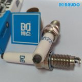 Bd 7710 Iridium Spark Plug for VW Replace Ngk Zker6a-10eg