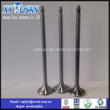 Diesel Intake and Exhaust Engine Valves for G300 Marine/ Ship Auto Parts
