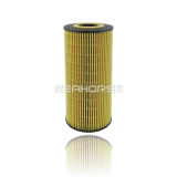 6021800009 Professional Supplier of Oil Filter for Vario Platform Car