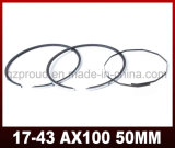 Ax100 Piston Ring High Quality Motorcycle Parts