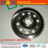 Sinotruk HOWO Truck Parts Oil Pump Drive Gear (VG1246080059)