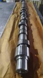 Isuzu Truck Diesel Engine Motor Camshaft D6d MD013677 MD073744 6rb1