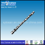 Engine Spare Part Camshaft for Hyundai Mighty (OLD) Engine 4D31 (OEM 2411041000/24110-41000)