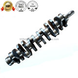 Crankshaft for Hino, Komatsu, Isuzu, Nissan, Mitsubishi Diesel Engine