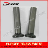 Truck Parts Engine Valve Tappet for Iveco