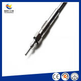 Ignition System High Quality Auto Glow Plug for Diesel Engine