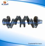 Engine Parts Crankshaft for Iveco 3.0L 39-10 40-10 49-10