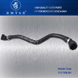 Auto Parts Cooling Radiator Water Hose 17127596841/17 12 7 596 841