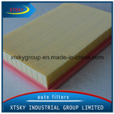 Auto Air Filter of Good Quality C2998-5X