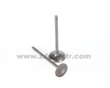 Motorcycle Spare Part Inlet and Exhaust Valve for Cg125 Motorcycle