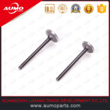 Wholesale Motorcycle Intake and Exhaust Valve Set Motorcycle Parts
