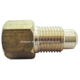 Brass Brake Adapter Fittings for Automotive